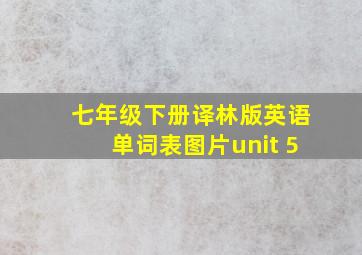 七年级下册译林版英语单词表图片unit 5